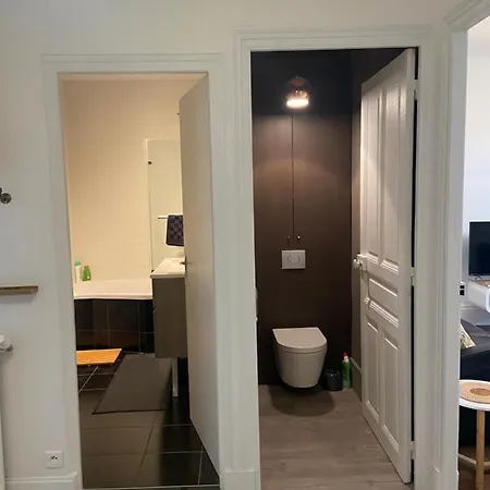 Pasteur T3 De Charme Artem Parc Ste Marie דירה נאנסי