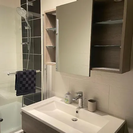 Pasteur T3 De Charme Artem Parc Ste Marie