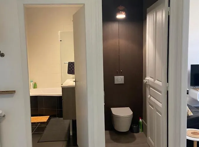 Pasteur T3 De Charme Artem Parc Ste Marie Appartement Nancy